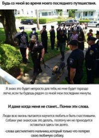 Запоминают слова и не любят курильщиков: 14 редких фактов о собаках