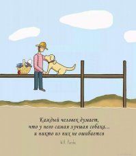 Запоминают слова и не любят курильщиков: 14 редких фактов о собаках