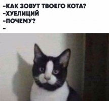 Интересно как бы она нарисовала этого котейку ;)