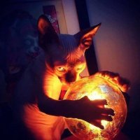 Загадочная история про свекра, который бросил пить