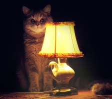 Как в СССР отучили пиратов грабить советские суда	