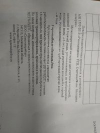 Смешные картинки с надписью