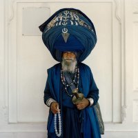 Отправил внучку на север...