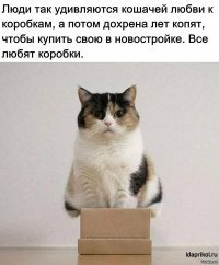 Юлькина ипотека