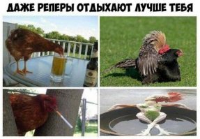 Петух приехал в город и видит, как кур жарят на гриле.
- !!! В деревне топтать некого, а они тут загорают!