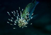 20 историй о том, как люди сталкивались с беспардонной наглостью, которой нет нормального объяснения