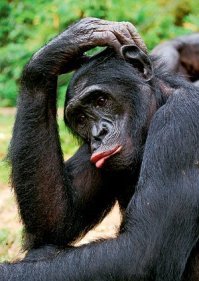 «Уничтожила» машину: девушка на автомойке в Дагестане помыла «Калину» пеной изнутри