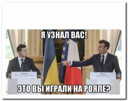 Прикольные и смешные картинки