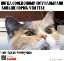 Картинки с надписями