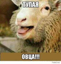 Намешалось