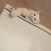 Где моя доля? И почему меня ещё не кормят?