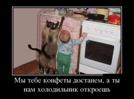 Демотивируй