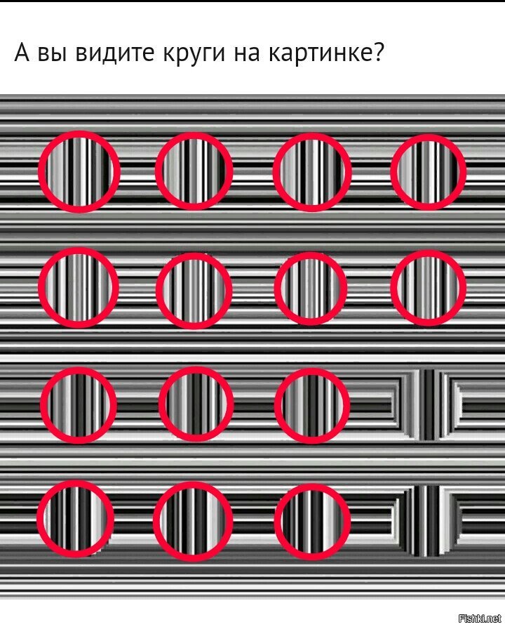 Сколько кружков на картинке