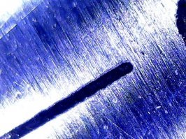 Что-то некоторые фотографии вызывают сомнение. Вот например фотка риски на советском шангенциркуле. Вроде как последняя существенно больше чем 20х но сомневаюсь, что при таком же увеличении можно так разглядеть личинки стрекозы или кристаллы парацетамола. Ну и попугайская раскраска  явно сделана потом в редакторах.