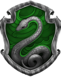 В Слизерин...