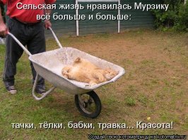 Тема с вариациями