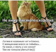 Намешалось