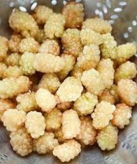 И так сойдет! При плохом зрении и белая ежевика похожа на крыжовник!