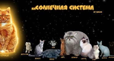 Смешные картинки с надписью