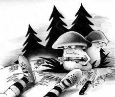 Прикольные и смешные картинки