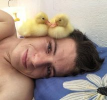 Намешалось