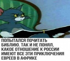 Прикольные и смешные картинки