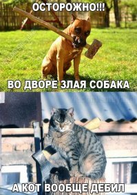 Смешные картинки с надписью