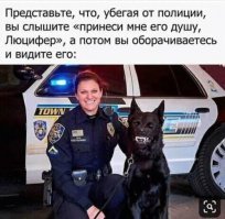 Прикольные и смешные картинки