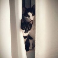 Прикольные и смешные картинки