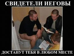 Прикольные и смешные картинки
