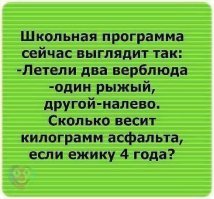 15 наглядных примеров пользы и бесполезности образования