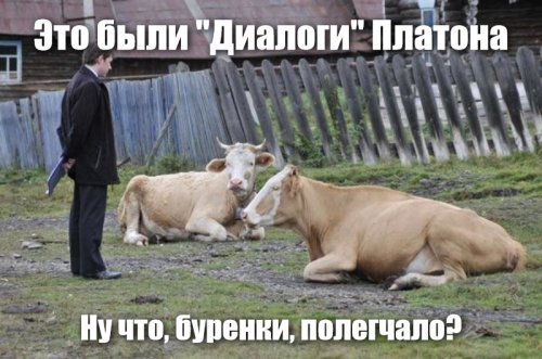 Прикольные и смешные картинки