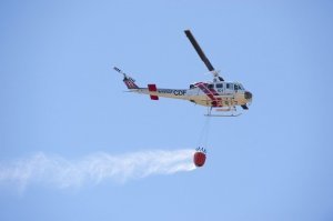 Прикольные и смешные картинки