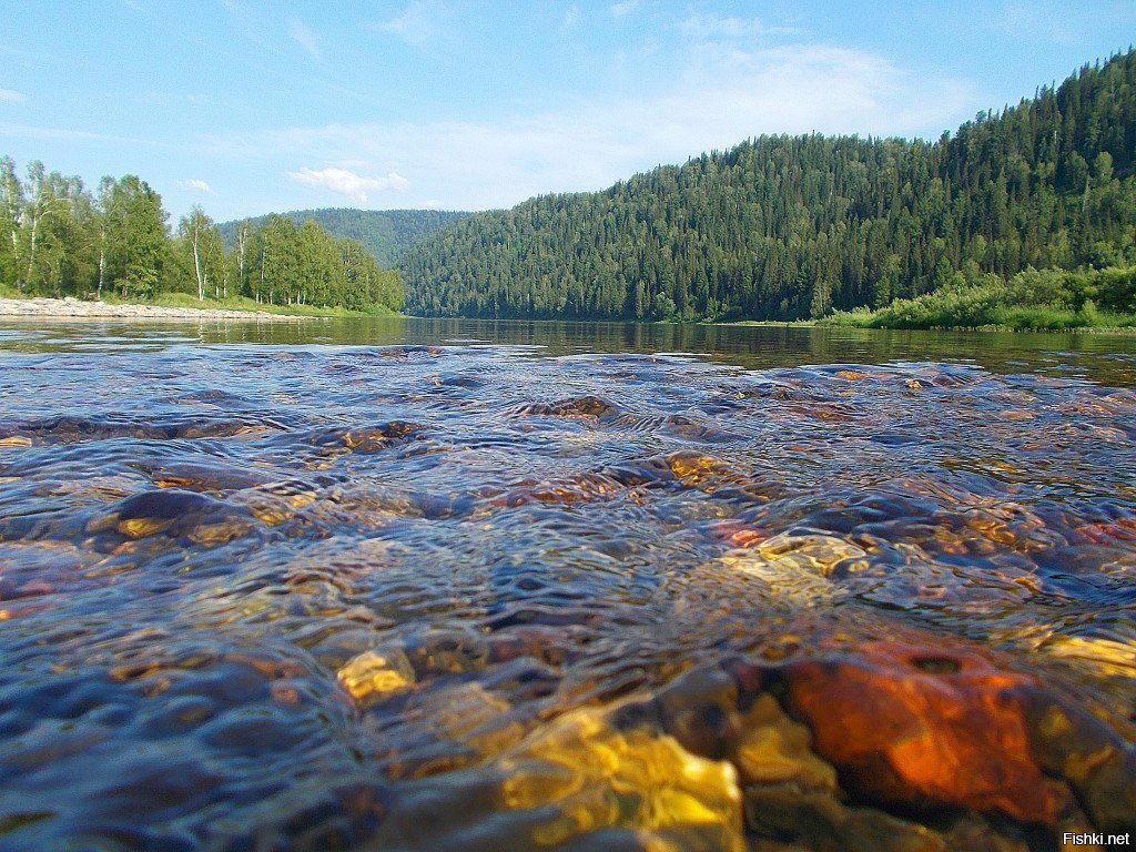 Река томь картинки