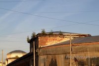 Здесь отпевали Александра Сергеевича Пушкина.