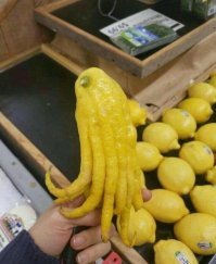 Это не ктулху, а рука будды.