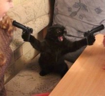 Как скормить коту таблетку: пошаговая комикс-инструкция. И да пребудет с вами Господь!