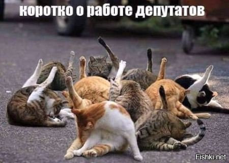 Смешные и забавные картинки с подписями 