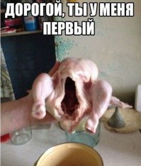 Смешные картинки с надписью