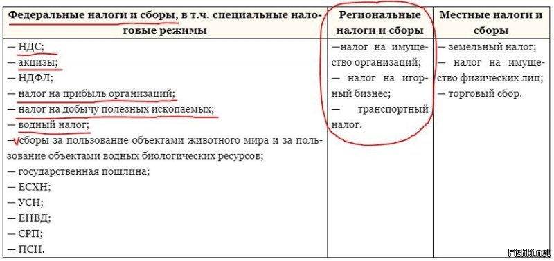 В догонку, если кто не понял таблицу что есть федеральный и региональный налог и в чем разница