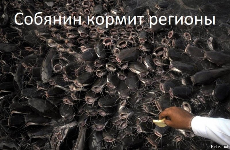 И тут Остапа понесло...без Москвы регионы окунутся в нищету