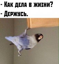 С добрым утром!