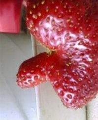Смешные картинки с надписью