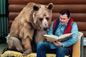 Самцы очень часто убивают медвежат, иногда даже своих, чтоб спариться с самкой. 
Поэтому страшнее зверя в лесу чем самка с потомством - нет. Агрессивна, всегда в стойке. Не редкость когда медведица принимает чужих медвежат, оставшихся без матери.