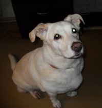 Три часа ночи. "Собирайся, пойдём покакаем".