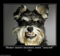 Блиииин, какой лапуууля!!!!