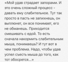 напомнило про удава