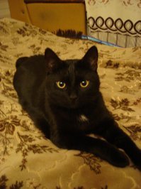 Вот мой... уже ушел по радуге