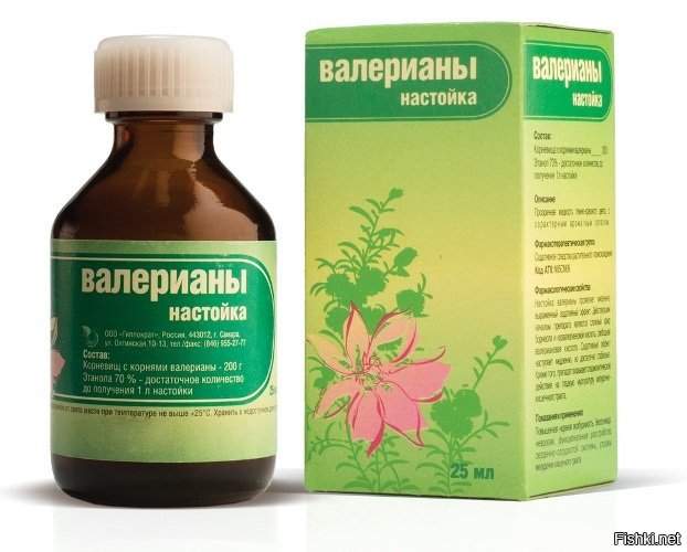 Какой подарок сделать любителю футбола