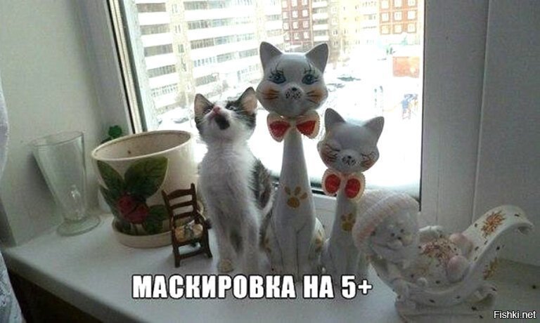 Мне показалось кот рот открыл.Поёт